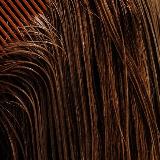 Haircut Loyalty Membership at Alexandra Swisher in Saint Louis, MO